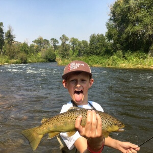 Provo River Fly Fishing