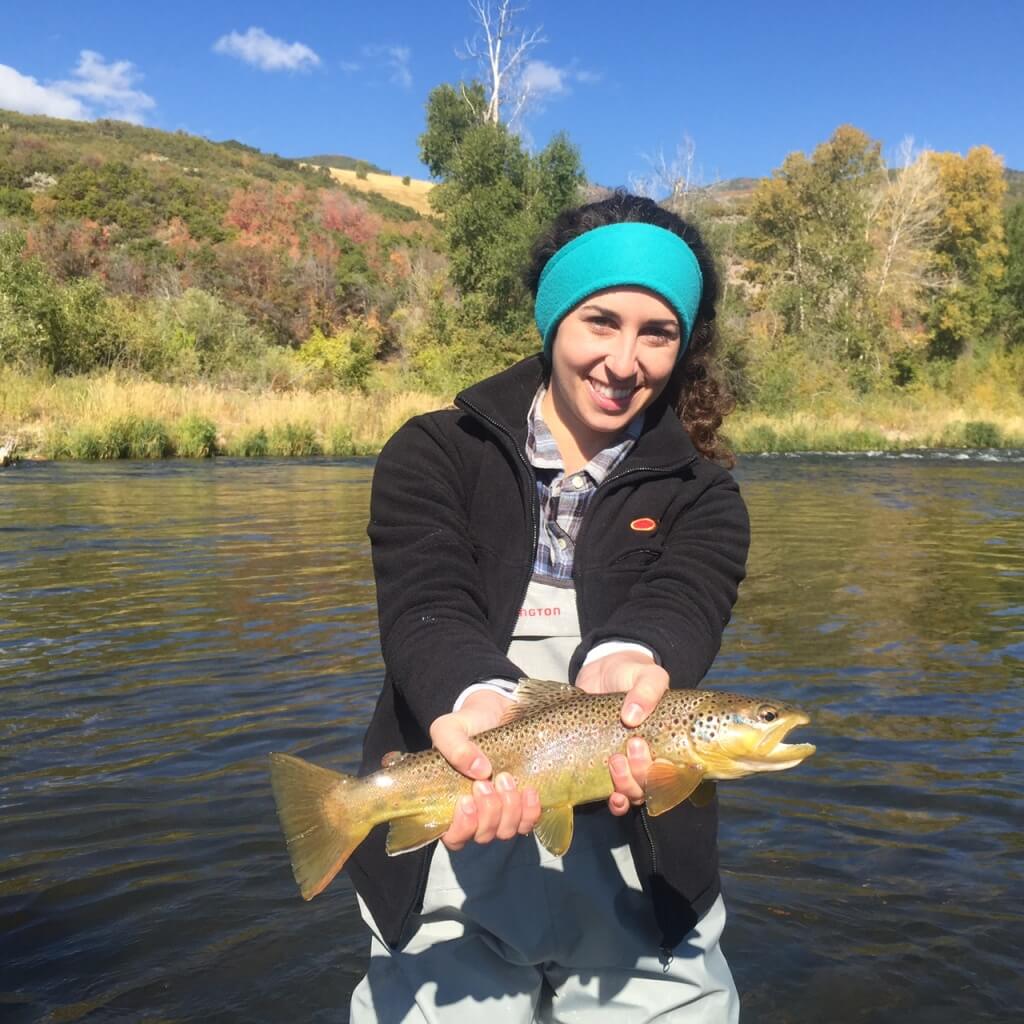 Park City Fly Fishing Company Utah Fly Fishing Guides