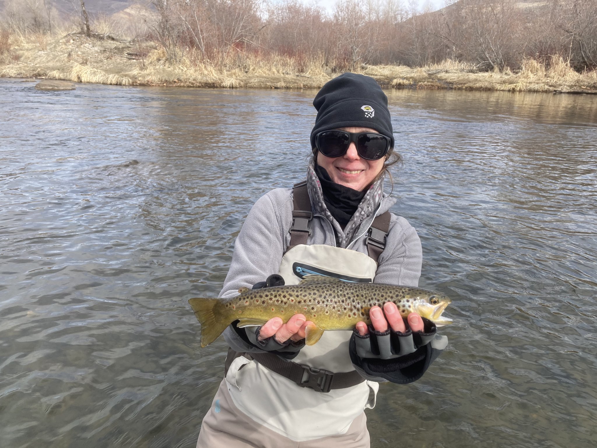 Park City Fly Fishing Company Utah Fly Fishing Guides