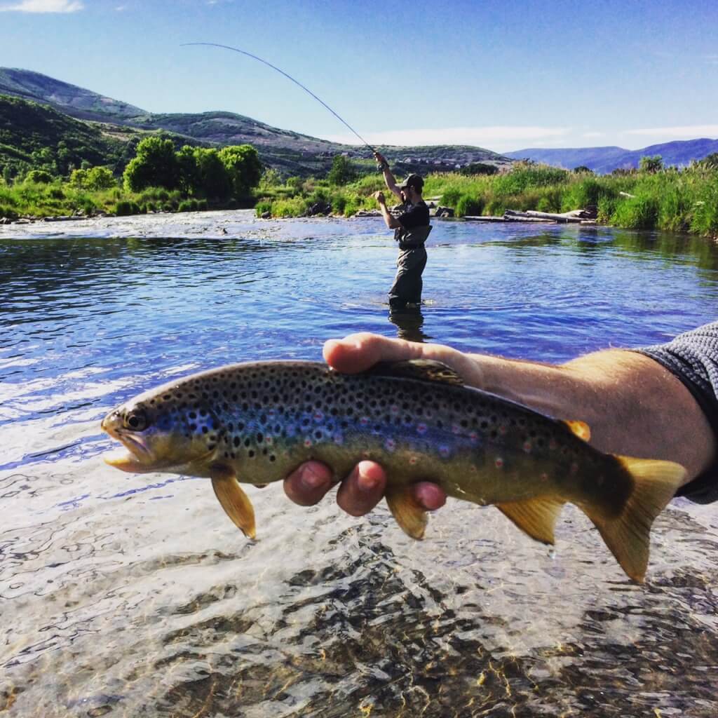 Provo Ricer Middle Provo River