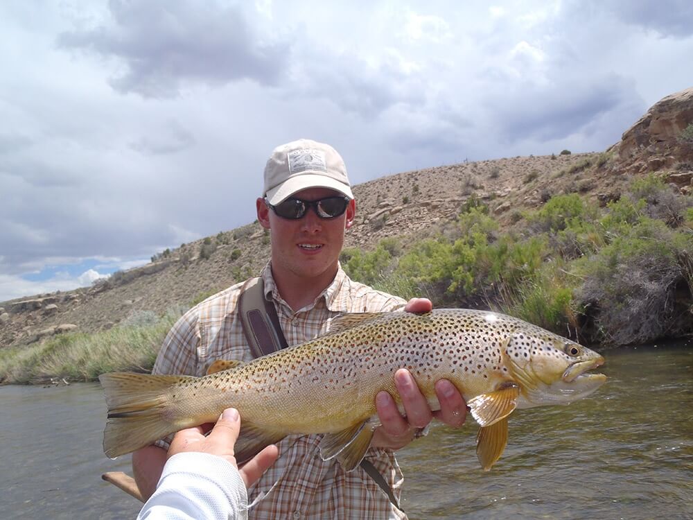 Big Strawberry River Brown tout